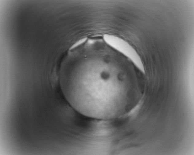 X0000088480186200706051407