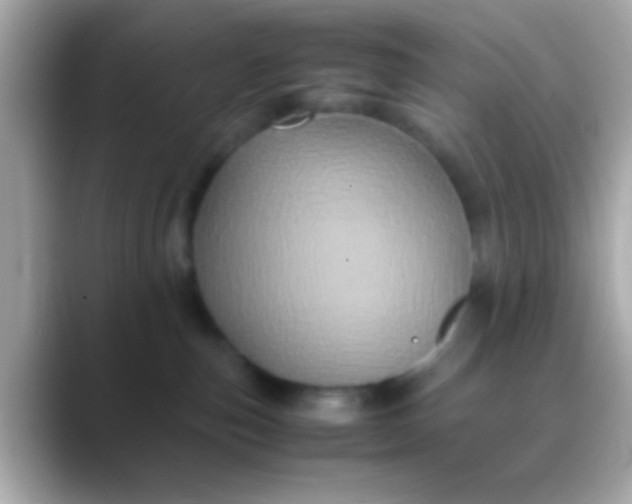 X0000088480187200706051407