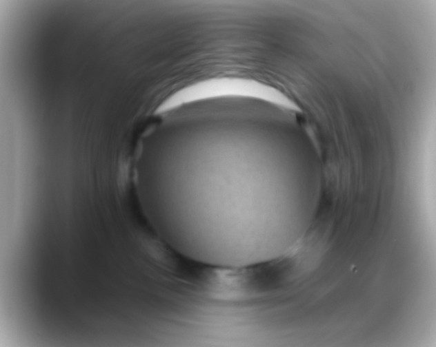 X0000088480188200706051407