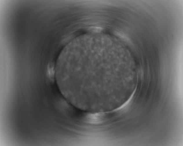 X0000088480190200706051407
