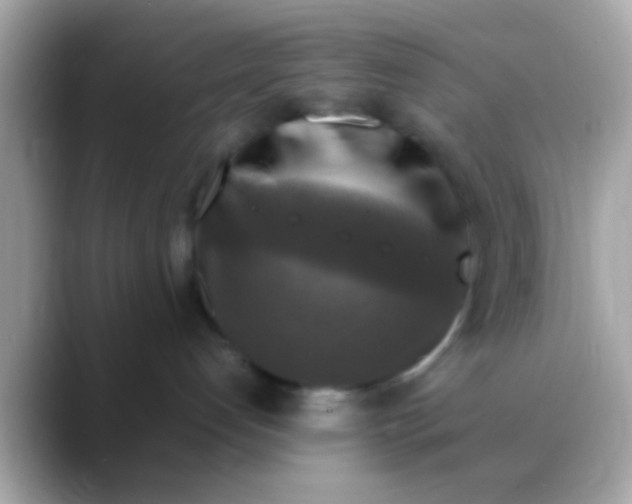 X0000088480192200706051407