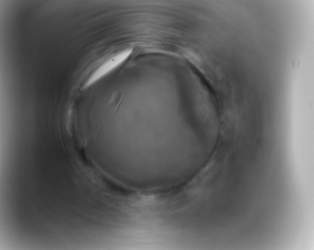 X0000088480194200706051406