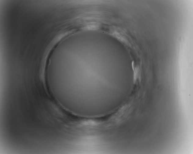 X0000088480195200706051406