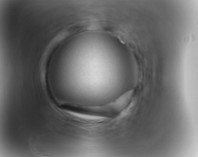 X0000088480197200706051406