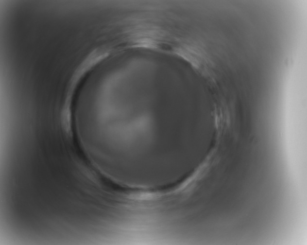 X0000088480198200706051406
