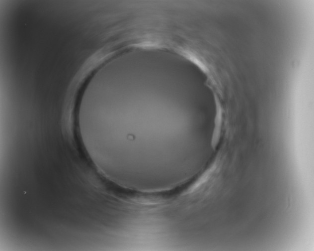 X0000088480199200706051406