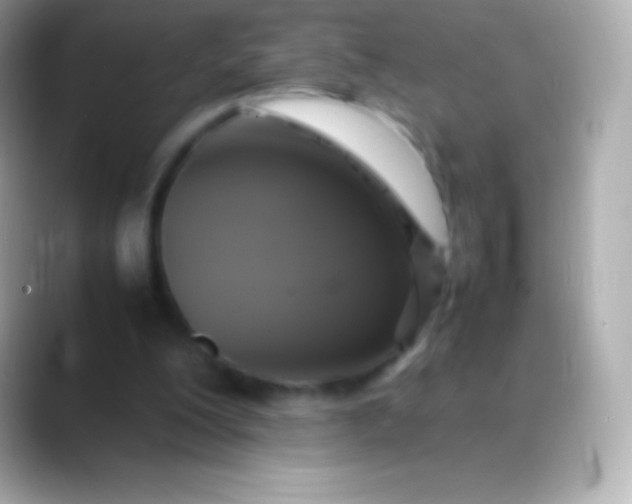 X0000088480200200706051406