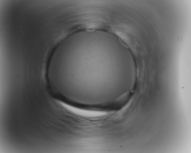 X0000088480201200706051406
