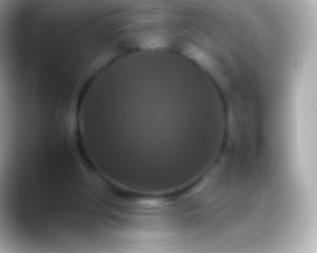 X0000088480202200706051406