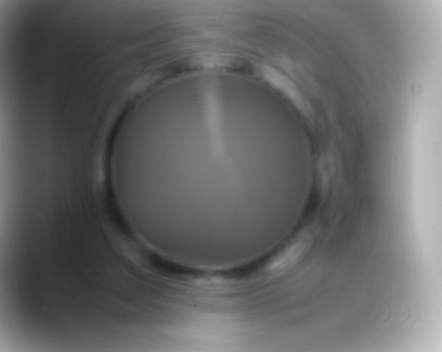 X0000088480203200706051406