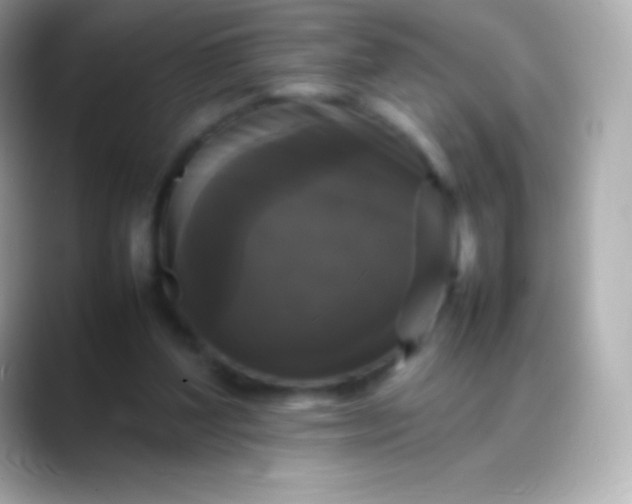 X0000088480204200706051406