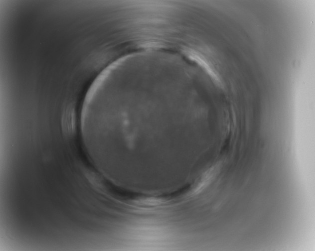 X0000088480205200706051406