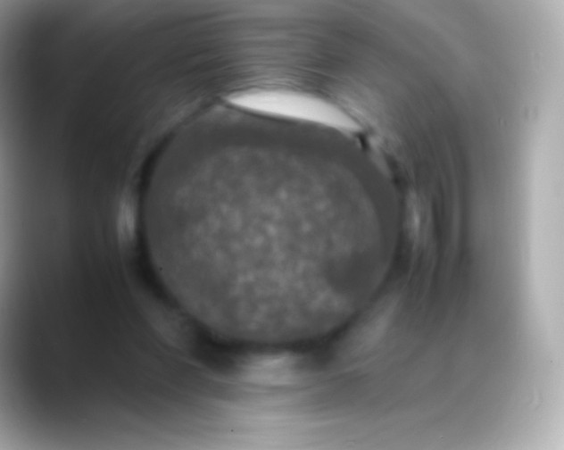 X0000088480206200706051406