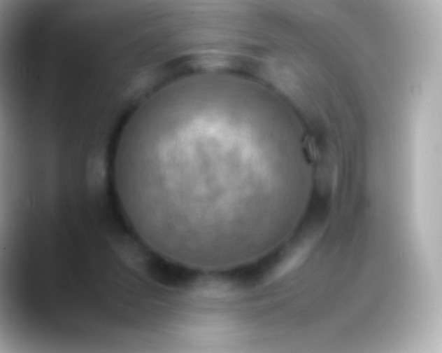 X0000088480207200706051406