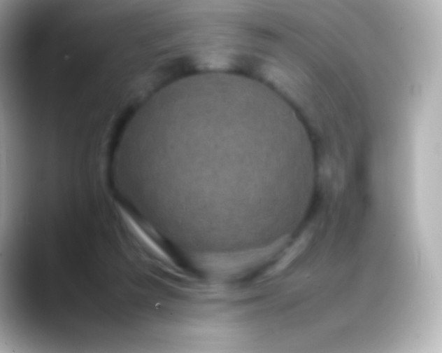 X0000088480209200706051406