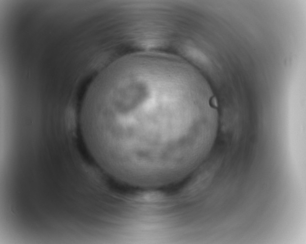 X0000088480210200706051406