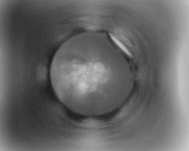 X0000088480211200706051406