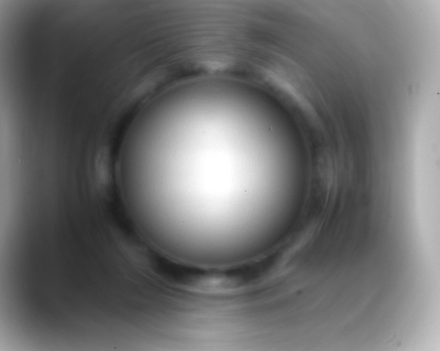 X0000088480212200706051406