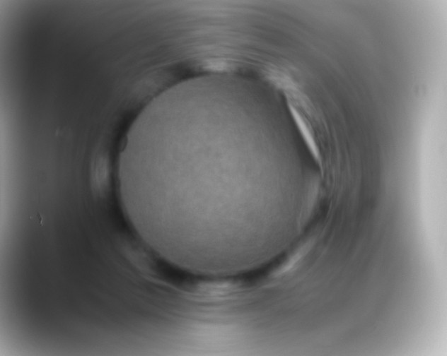 X0000088480213200706051406