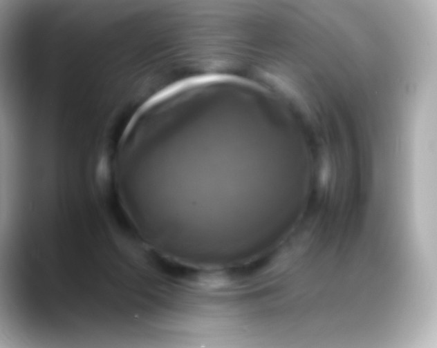 X0000088480214200706051406