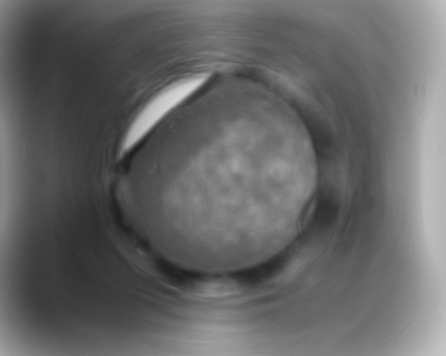 X0000088480215200706051406