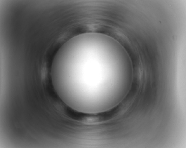X0000088480220200706051406