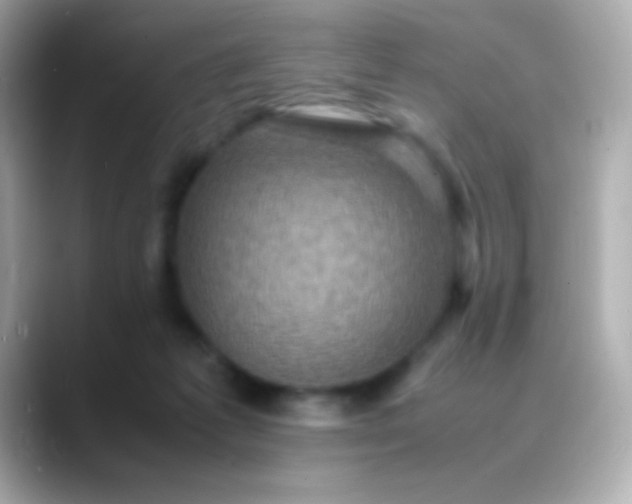 X0000088480221200706051406