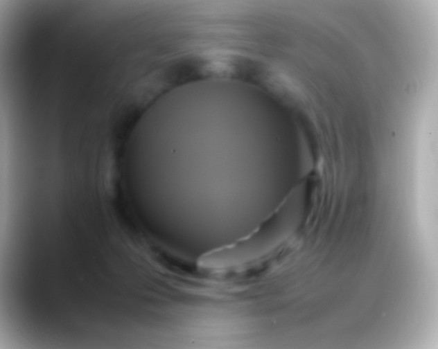 X0000088480223200706051406