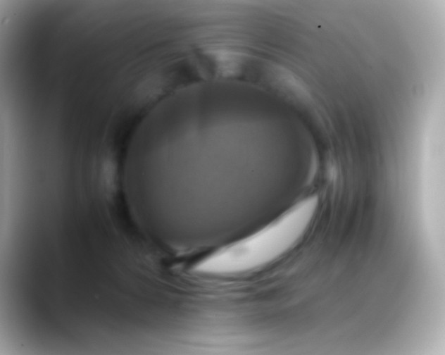 X0000088480224200706051406