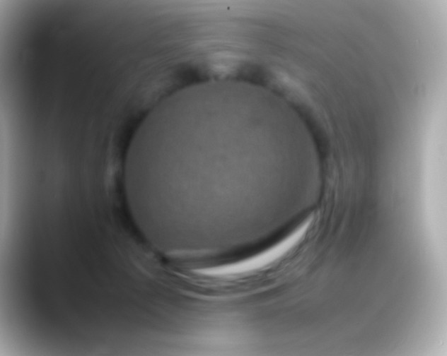 X0000088480225200706051406