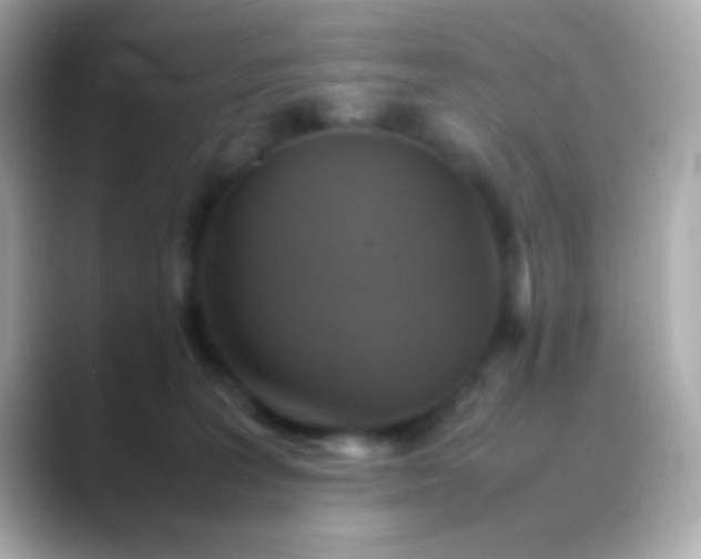 X0000088480227200706051406