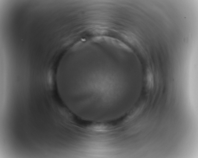 X0000088480228200706051406