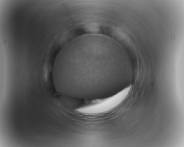 X0000088480229200706051406