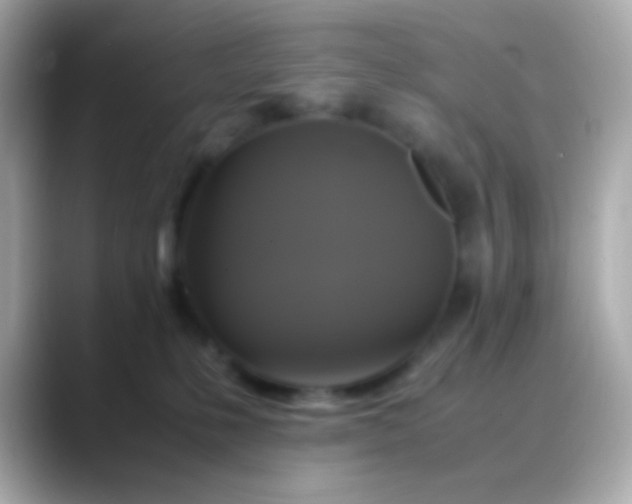 X0000088480231200706051406