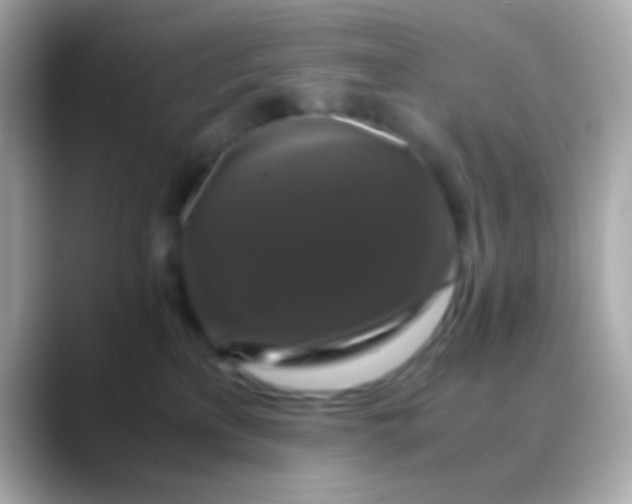 X0000088480233200706051406