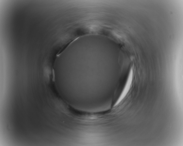 X0000088480235200706051406