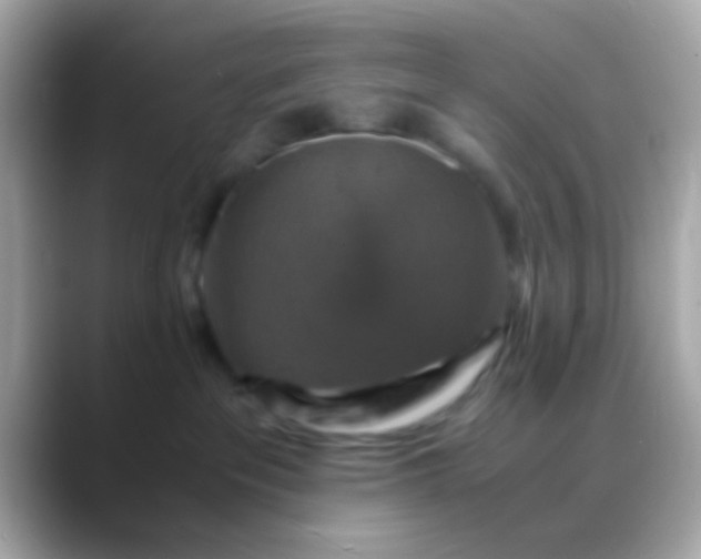 X0000088480237200706051406