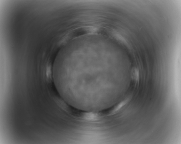 X0000088480238200706051406