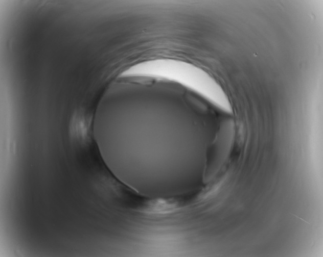 X0000088480239200706051406
