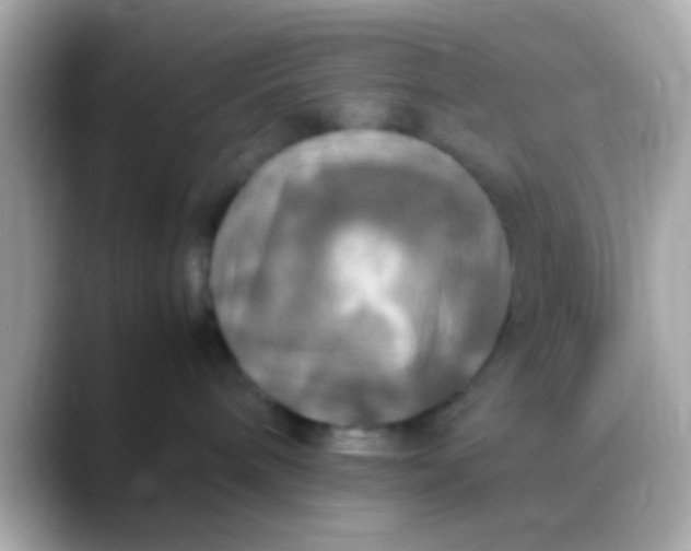 X0000088480240200706051406