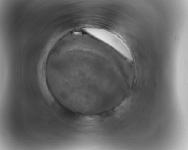 X0000088480241200706051405