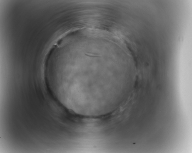 X0000088480242200706051405