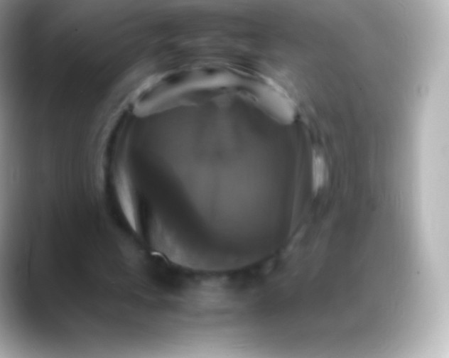 X0000088480243200706051405