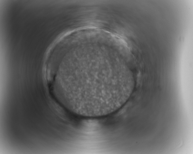 X0000088480244200706051405