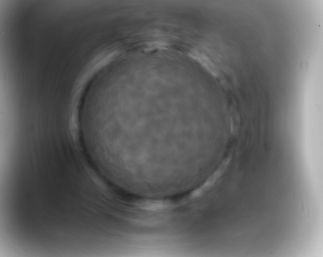 X0000088480245200706051405