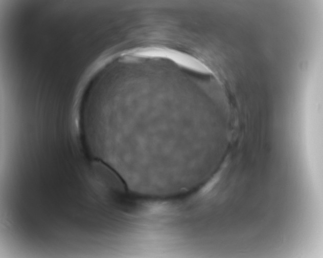X0000088480246200706051405