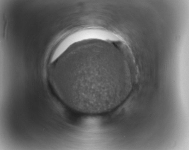 X0000088480248200706051405