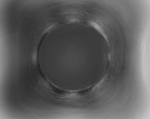 X0000088480249200706051405