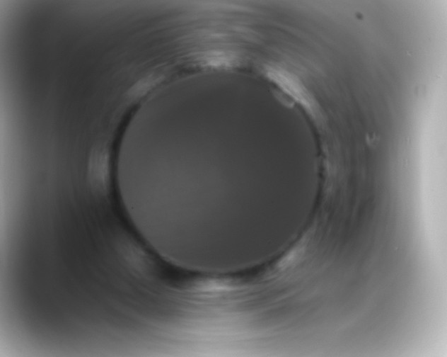 X0000088480250200706051405