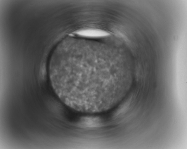 X0000088480251200706051405